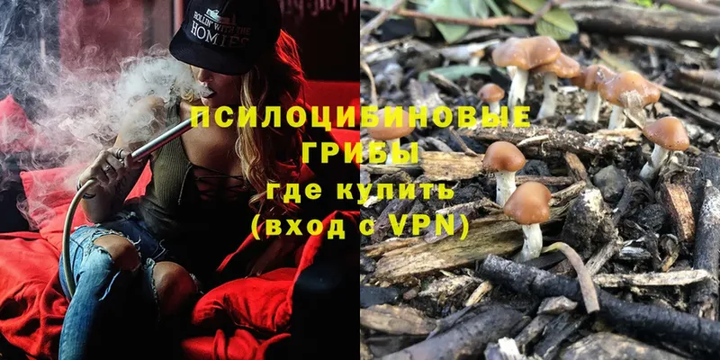 Псилоцибиновые грибы Magic Shrooms  даркнет сайт  Зея 